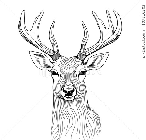 deer Line art illustration vector deer Line art illustration vector 107516203