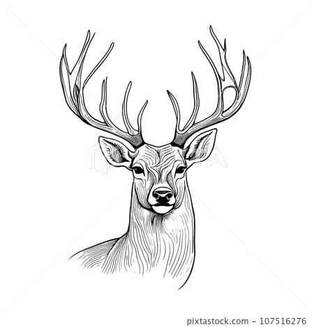 Graphic animal vector illustration black and white isolated deer for wedding, anniversary, birthday, invitations, logo, etc. Graphic animal vector illustration black and white isolated deer for wedding, anniversary, birthday, invitations, logo, etc. 107516276