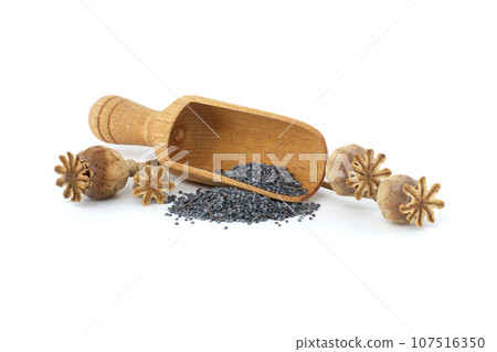 Heap of poppy seeds and dried pod isolated on white Heap of poppy seeds and dried pod isolated on white 107516350