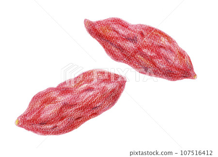 Hand-drawn illustration of sweet potato drawn with colored pencils Hand-drawn illustration of sweet potato drawn with colored pencils 107516412