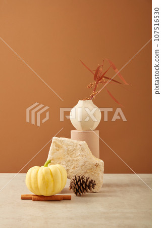 Flower pot placed a cylinder podium with cinnamon sticks, pine cone, pumpkin and a block of stone. Thanksgiving has long been celebrated as a secular holiday Flower pot placed a cylinder podium with cinnamon sticks, pine cone, pumpkin and a block of stone. Thanksgiving has long been celebrated as a secular holiday 107516530