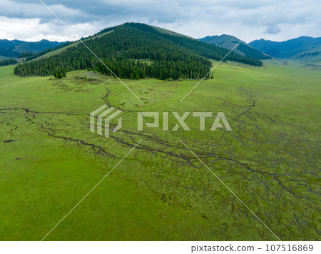 Beautiful forest wetland landscape in Sichuan,China 107516869