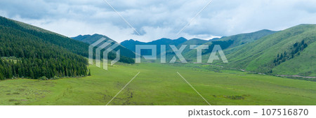 Beautiful forest wetland landscape in Sichuan,China Beautiful forest wetland landscape in Sichuan,China 107516870