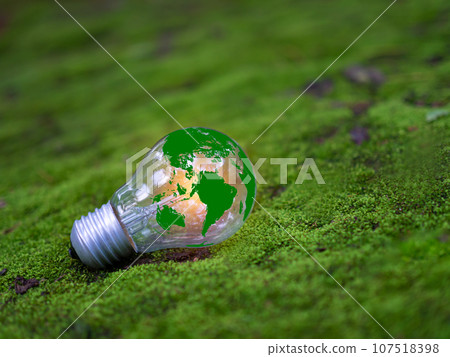 Concept of renewable energy, environmental protection, and sustainable renewable energy sources. Green world map on a light bulb set on a background with green moss. Green energy. 107518398