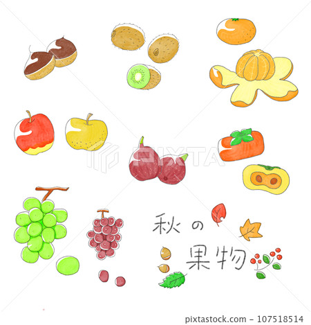 秋季水果套 秋季水果套 107518514