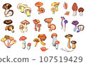 Collection of isolated edible and inedible fungus, vector illustration 107519429