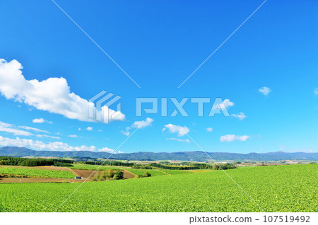 Hokkaido Autumn blue sky and Biei scenery Hokkaido Autumn blue sky and Biei scenery 107519492