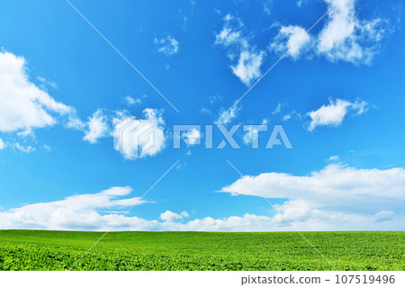 北海道秋天的藍天和美麗的風景 107519496
