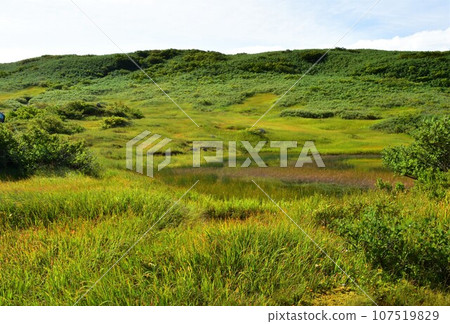 Early autumn highland wetland 2 107519829