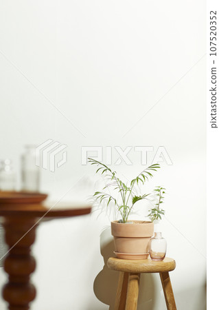 A comfortable room where warm afternoon sunlight comes in through a window with a view of tree leaves. 107520352