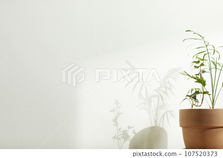 A comfortable room where warm afternoon sunlight comes in through a window with a view of tree leaves. 107520373