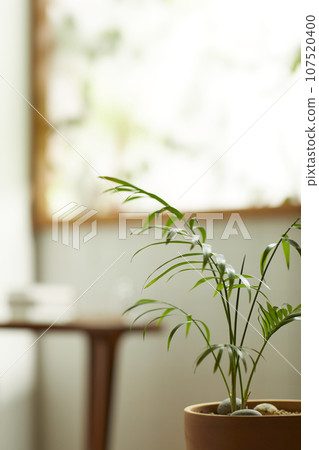 A comfortable room where warm afternoon sunlight comes in through a window with a view of tree leaves. 107520400