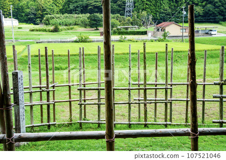 Horse fence (close view) Horse fence (close view) 107521046