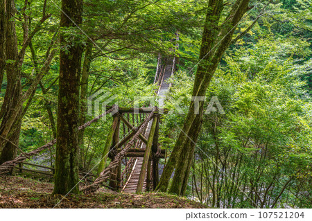 德島縣三好市奧祖谷雙葛橋 德島縣三好市奧祖谷雙葛橋 107521204
