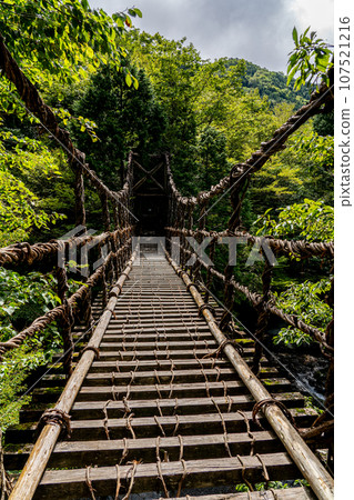 德島縣三好市奧祖谷雙葛橋 德島縣三好市奧祖谷雙葛橋 107521216
