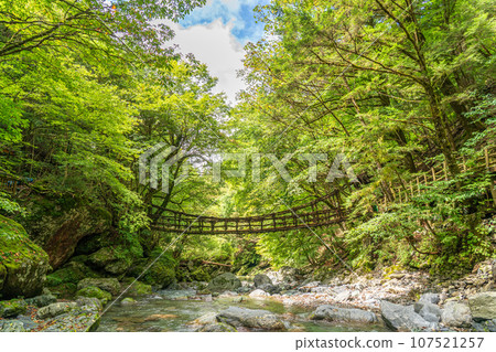 Oku-Iya Double Kazura Bridge, Miyoshi City, Tokushima Prefecture Oku-Iya Double Kazura Bridge, Miyoshi City, Tokushima Prefecture 107521257