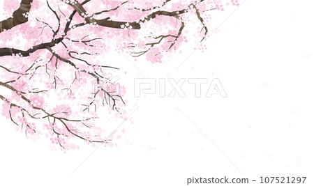 櫻桃樹背景圖 107521297