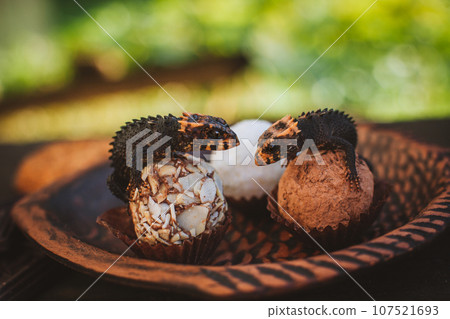 Red-eyed crocodile skinks, tribolonotus gracilis, on Truffles 107521693