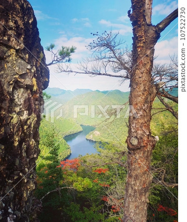 Trees and lake with the beginning of autumn leaves 107522730