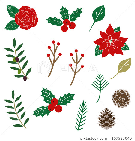 Christmas, winter decoration, botanical illustration set, vector Christmas, winter decoration, botanical illustration set, vector 107523049