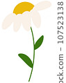 Flowers 107523138