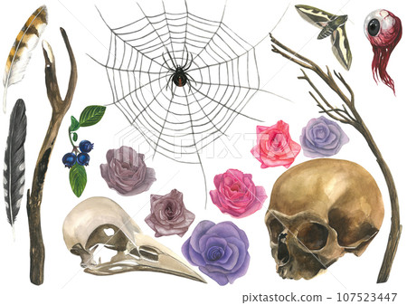 Gothic - human skull, raven skull, tree branches, eyeball, spider, cobweb, roses, feathers, moth, blueberry. Set of watercolor illustrations isolated on white background drawn by hand 107523447