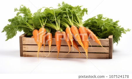 a quaint wooden carton stuffed with farm-fresh carrots that still had their greens. a quaint wooden carton stuffed with farm-fresh carrots that still had their greens. 107524178