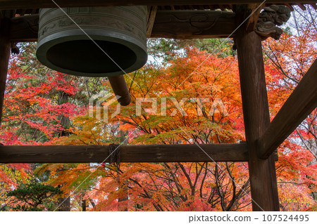 Bell tower covered in autumn leaves (Tozenji, Matsudo City, Chiba Prefecture) Bell tower covered in autumn leaves (Tozenji, Matsudo City, Chiba Prefecture) 107524495