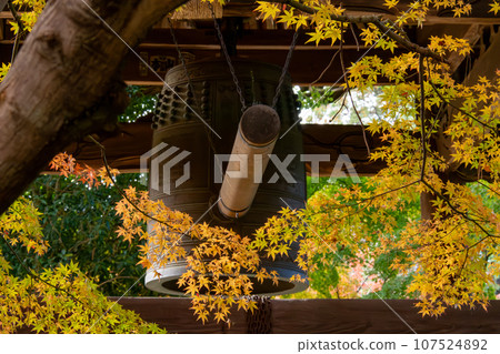 Temple bell tower and autumn leaves starting to change color (Tozenji Temple, Matsudo City, Chiba Prefecture) Temple bell tower and autumn leaves starting to change color (Tozenji Temple, Matsudo City, Chiba Prefecture) 107524892