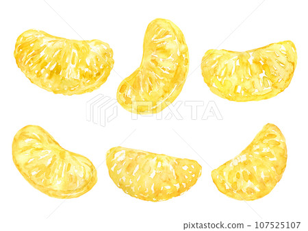 Hassaku's inner bunch watercolor illustration 107525107
