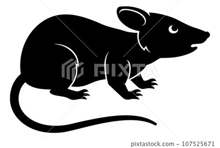 Rat Chinese Zodiac Horoscope Animal Year Sign 107525671