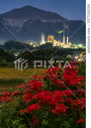 [埼玉縣] 寺坂梯田、武甲山、孤挺花盛開的夜景 107526204