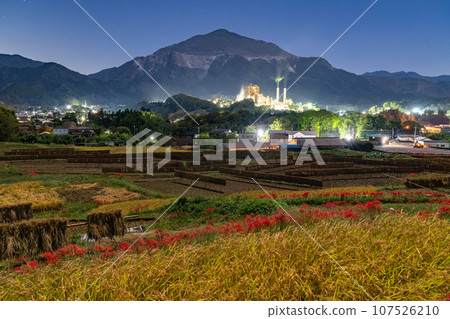 [Saitama Prefecture] Terasaka rice terraces and Mt. Buko, night view with cluster amaryllis blooming 107526210