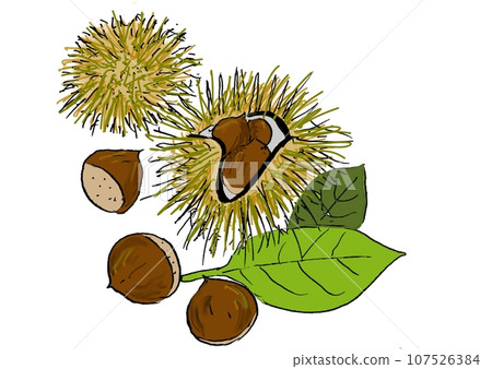 Autumn taste Autumn taste 107526384