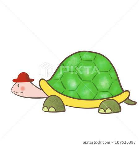 Cute turtle illustration Cute turtle illustration 107526395