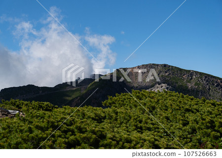 Stroll around Mt. Norikura Stroll around Mt. Norikura 107526663