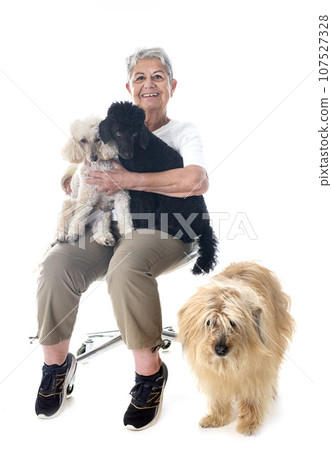 woman and dogs in studio woman and dogs in studio 107527328