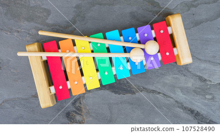 typical childrens xylophone 107528490