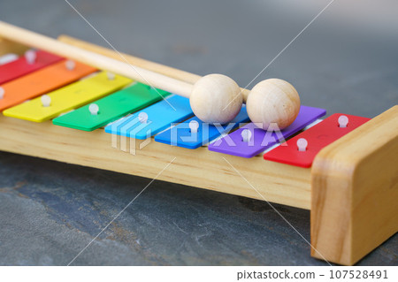 typical childrens xylophone 107528491
