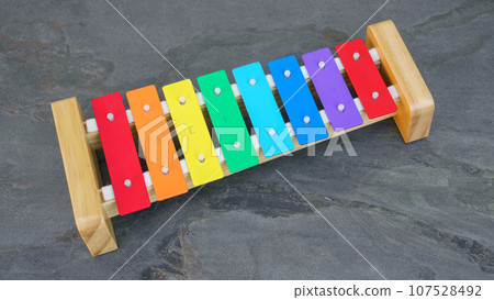 typical childrens xylophone 107528492