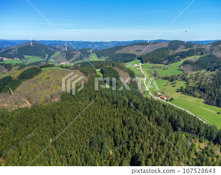 detail view of the black forest south germany 107528643