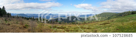 paragliders start point at Baiersbronn Germany Black Forest 107528685