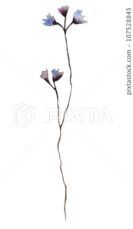 Watercolor blue and grey wildflowers isolated illustration, floral wedding and greeting element 107528845