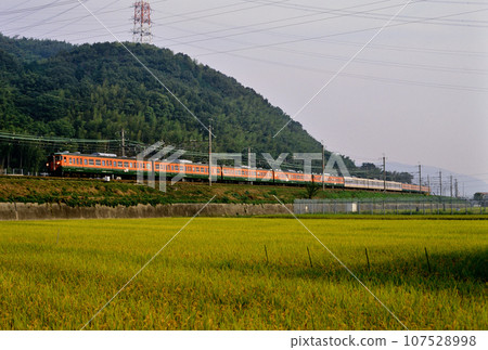 2002: 11 cars of the 113 series rapid train running on the Tokaido Main Line 107528998