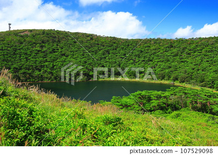[Miyazaki Prefecture] Kirishima's White Purple Pond (Ebino Plateau) on a sunny day 107529098