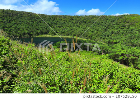 [宮崎縣]晴天的霧島白紫池（蝦野高原） 107529150