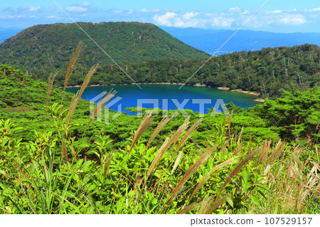 [宮崎縣]霧島的六觀音禦池（蝦野高原）晴天 107529157