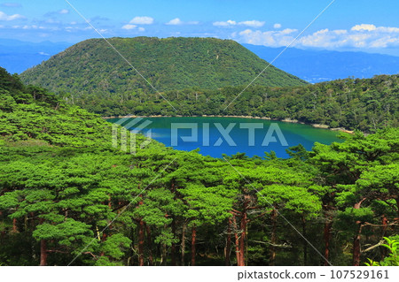 [Miyazaki Prefecture] Rokukannon Oike (Ebino Highlands) in Kirishima on a sunny day 107529161