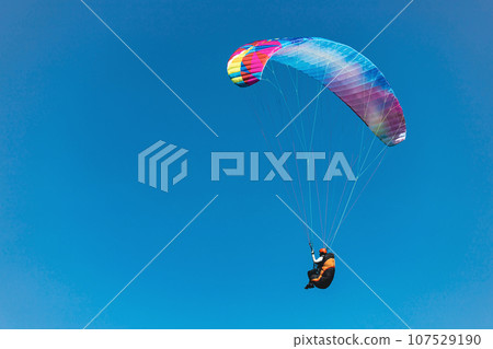 Paraglider in the sky. The sportsman flying on a paraglider. 107529190