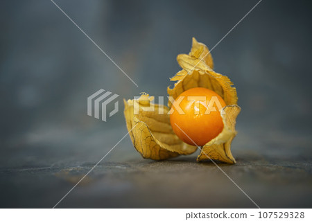 Physalis berry on a slate background Physalis berry on a slate background 107529328